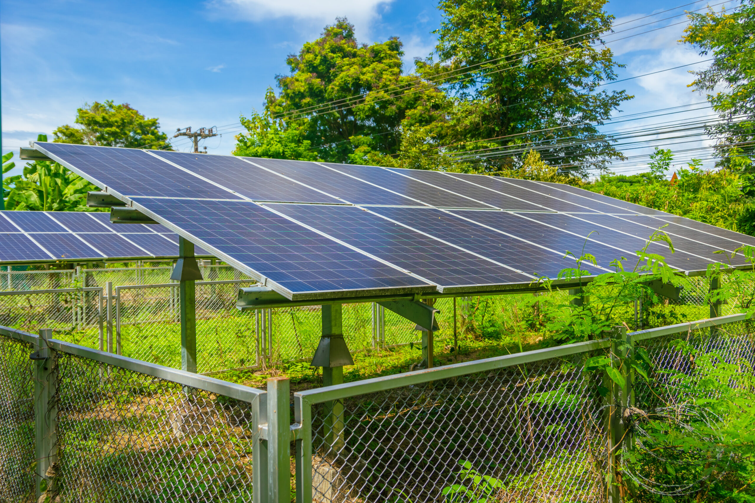 small solar farm, solar panel with green ecology plant tree sunny blue sky. eco power clean energy for nature savings environment technology concept.